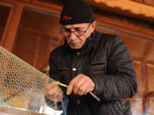 Balıkçılar Yunusların Ağlara Verdiği Yaraları Sarıyor