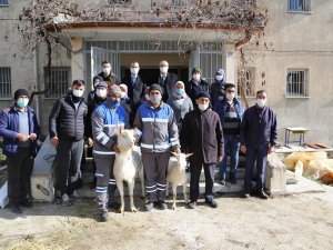 Saanen Keçisi Projesi Başarıyla Devam Ediyor