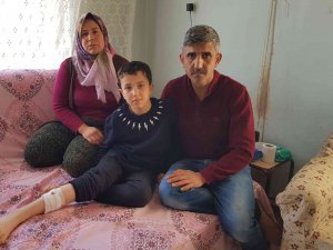 Sokak Köpekleri Bir Çocuğa Daha Saldırdı