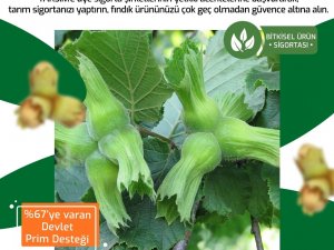 Tarsi̇m: ’’Fındık İçin Son Sigorta Tarihi 28 Şubat’’