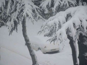 Tatvan Kara Teslim Oldu