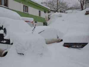 Şırnak’ta Ağaçlar Kırıldı, Araçlar Karda Kayboldu
