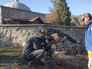 Nallıhan’da Hayırseverlerin Desteği İle Meyve Ağacı Fidanları Dikildi