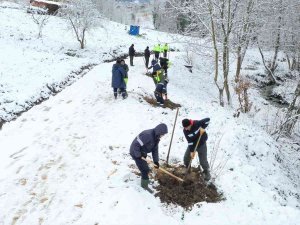 Damlar Vadisi Milet Bahçesi’nde Çalışmalar Sürüyor