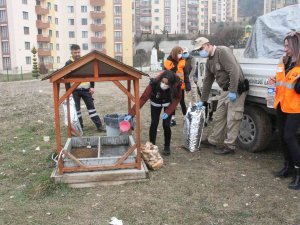 Haydi̇ Ekipleri, Soğuk Kış Gününde Sokak Hayvanlarını Yalnız Bırakmadı