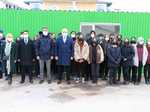 Yosunlar Bitkiler İçin Gübreye Dönüşüyor