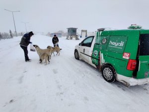 Elazığ Polisi Sokak Hayvanlarını Unutmadı