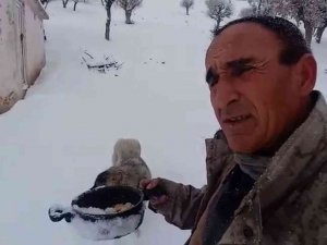 Kendi Yemeğini Sokak Hayvanlarıyla Paylaştı