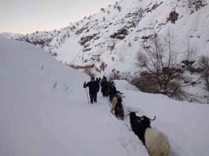 Asker Ve Köy Koruyucuları 3 Gündür Seferber Olduğu Keçileri Bulup Sahibine Teslim Etti