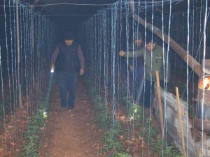 Mersin’de Bahçelerde Lastikler, Seralarda Sobalar Yakıldı, Zirai Don Nöbeti Başladı