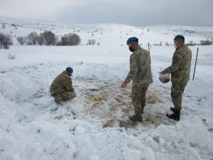 Komandolar, Yaban Hayvanları İçin Doğaya Yem Bıraktı