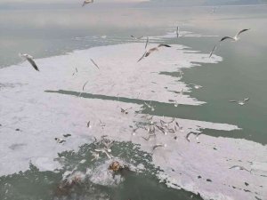 Eğirdir Gölü Kıyıları Buz Tuttu
