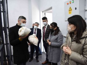 Afyon’dan Gelip Düzce Üniversitesini İncelediler