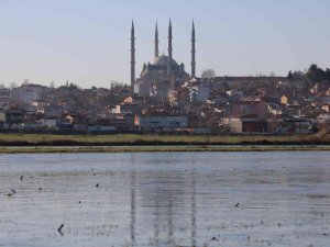 Edirne’de Suyla Kaplı Tarlalar Buz Tuttu