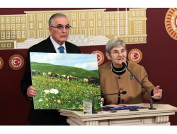 Canan Karatay Milletvekillerine Önerilerde Bulundu
