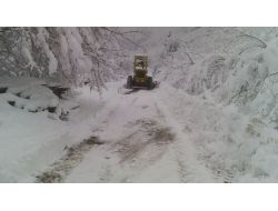 Ordu’da Kar 1 Metre