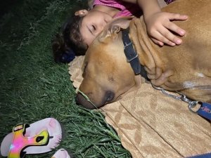 Asiye Haftaya Taburcu Oluyor