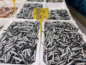 Hamsi 25 Tl’ye Düştü