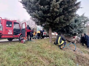 Yoldan Çıktı Ağaca Çarparak Durdu