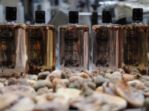 Mardinli Mühendisten İncir Kolonyası