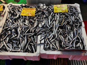 Hava Soğudu, Balık Tezgahları Şenlendi