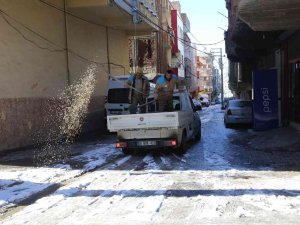 Haliliye’de Karla Mücadele Çalışmaları Aralıksız Sürüyor