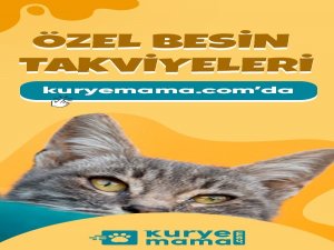 Royal Canin Yavru Kedi ve Köpek Mamasını İndirimli Fiyattan Kaçırma