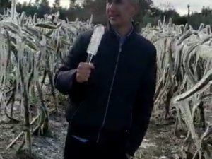 Adanalı Üreticiye Buz Sarkıtı Şoku