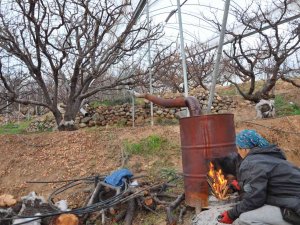 Türkiye’nin En Pahalı Don Nöbeti