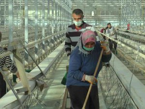 Jeotermal Seralar Sezona Hazırlanıyor