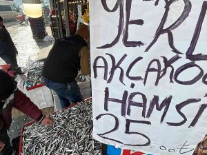 Kar Yağdı, Hamsi Karadeniz’e Geri Döndü