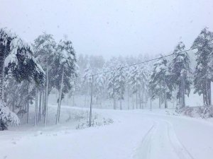 Meteoroloji Sarı Kodla Uyardı, Yoğun Kar Yağışı Bekleniyor