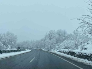 Zonguldak’ta Buzlanan Yolda Sis Görüş Mesafesini Düşürdü
