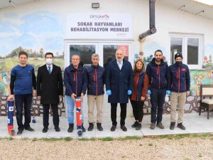 Çiftlikköy Belediyesi’nden Sokak Hayvanları İçin Su Borusunda Mama Kabı