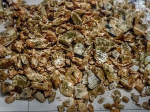 Milas’ta 835 Gram Değerli Taş Olarak Kabul Edilen Diaspor Ele Geçirildi