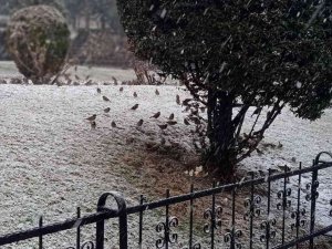 Afyonkarahisar’da Günlerdir Uyarısı Yapılan Kar Yağışı Başladı