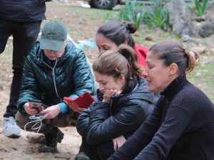 Hayvanseverler İş Makinesiyle Gömülen Kedi Ve Köpeklere Tepki Gösterdi, İşlemin Yasal Olduğu Ortaya Çıktı