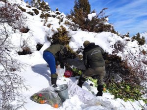 Van’da Fırtınada Yaban Hayvanları Unutulmadı