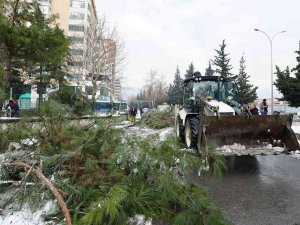 Kar Savurdu, Ekipler Temizledi