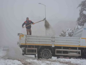 Hem Kar Kürendi Hem De Sokak Hayvanlarına Yiyecek Bırakıldı