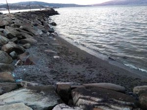 Bandırma’da Deniz Çekilmesi Üç Gündür Devam Ediyor