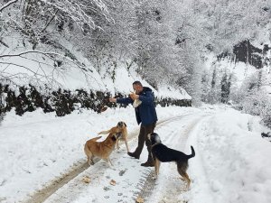 Türkeli Orman İ̇şletme, Köy Yollarına Ve Doğaya Destek Ulaştırdı