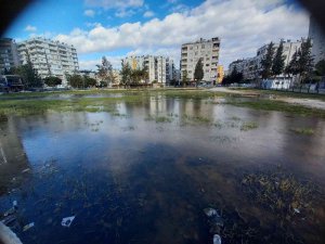 Adana’da Su Birikintileri Buz Tuttu