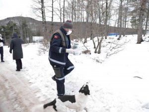 Karda Aç Kalan Hayvanları Elleriyle Beslediler