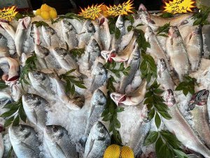 Kar Yağdı, Balık Tezgahları Şenlendi