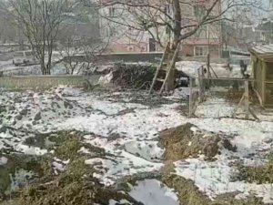 Sokak Köpeklerinin Kümese Saldırdığı Anlar Böyle Görüntülendi