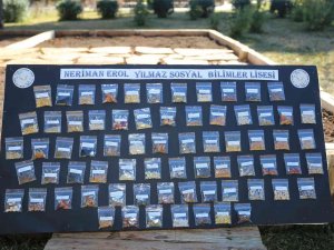 Dokumapark’ta Ata Tohumları Toprakla Buluştu