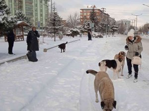 Afyonkarahisar Kar Altında