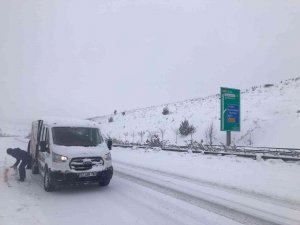 Büyükşehir Belediye Ekipleri Sokak Hayvanlarını Unutmadı