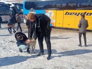 Yolda Kalan Yolcular Köpek Besleyerek Zaman Geçiriyor
